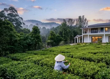 HUSHSTAY X WINDERMERE BUNGALOW