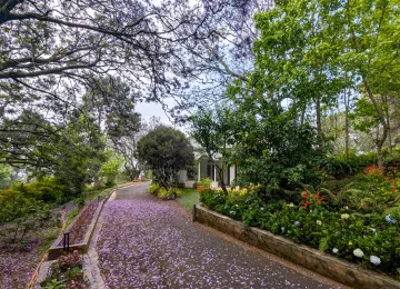 HUSHSTAY X MILFORD ESTATE