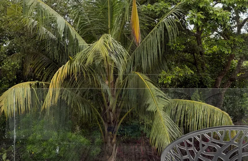 HUSHSTAY X CASA CALMA — photo 14 of 59