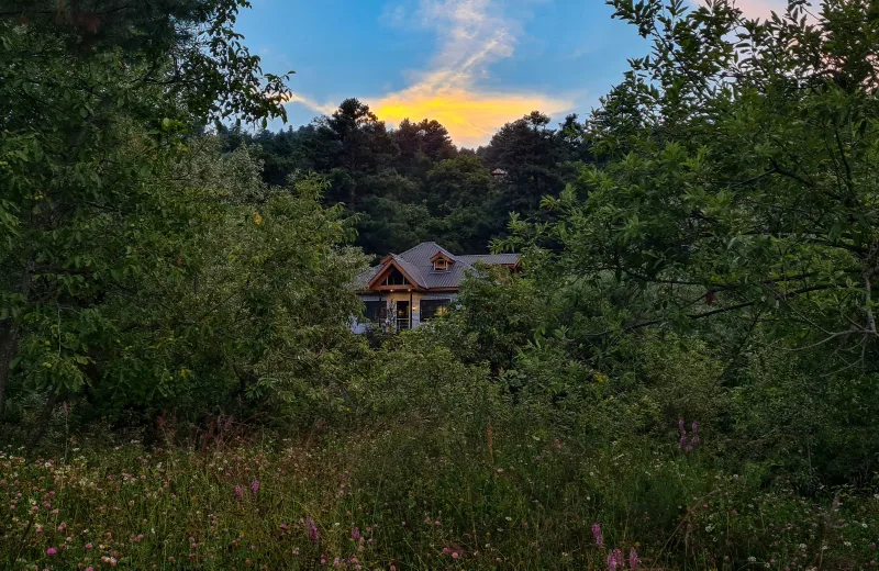 HUSHSTAY X THE CHEESE COTTAGE — photo 25 of 41