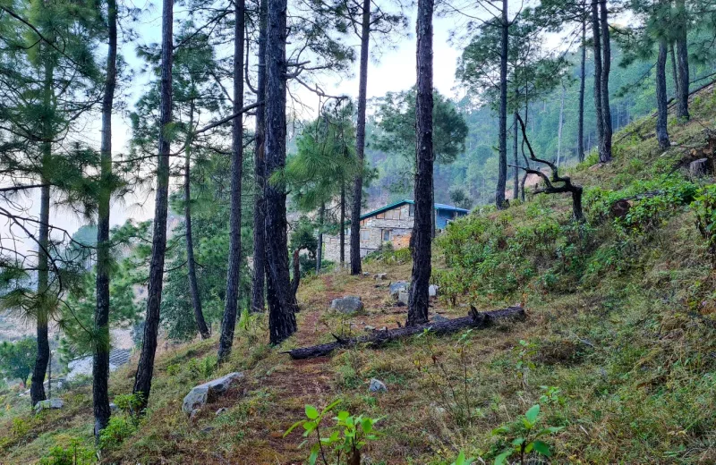 HUSHSTAY X HOUSE ON THE SLOPE — photo 37 of 54