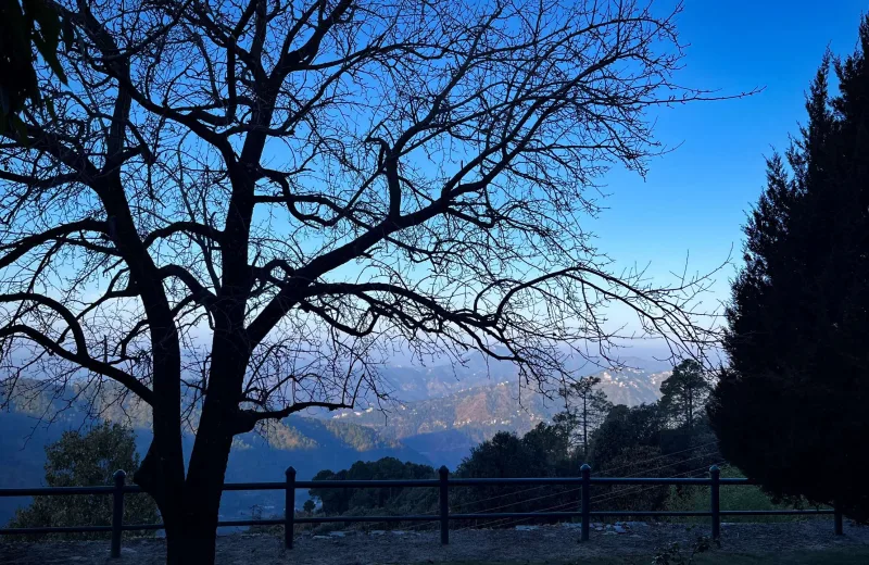 HUSHSTAY X JAGHERI BAGH — photo 16 of 63