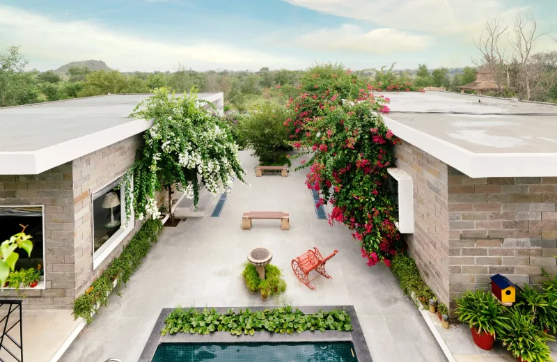 HUSHSTAY X JUNGLE HOUSE — photo 15 of 26