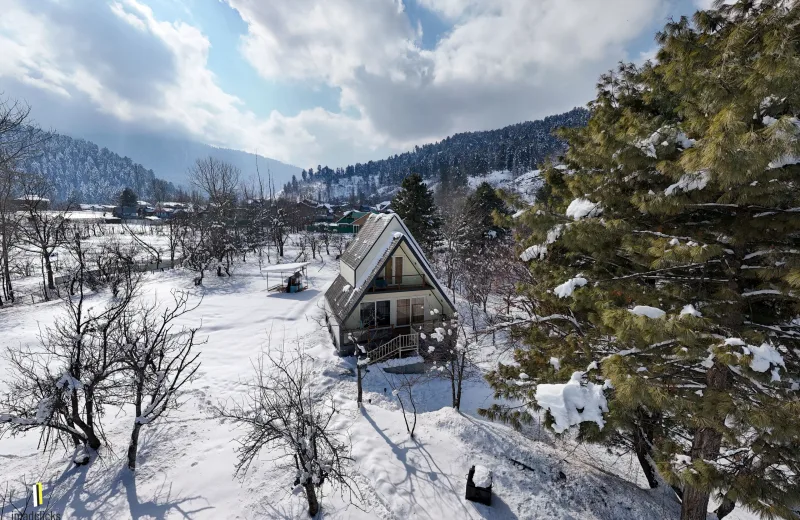 HUSHSTAY X OLIVE CHALET — photo 22 of 29