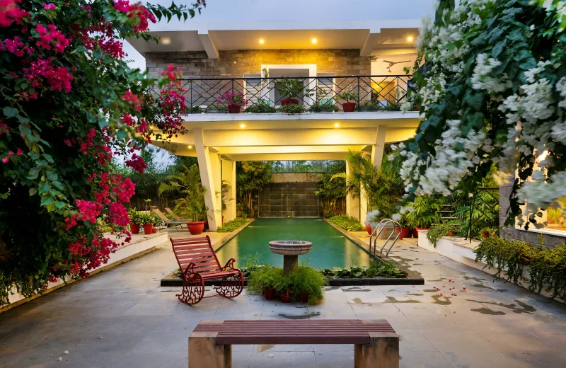 HUSHSTAY X JUNGLE HOUSE — photo 3 of 26