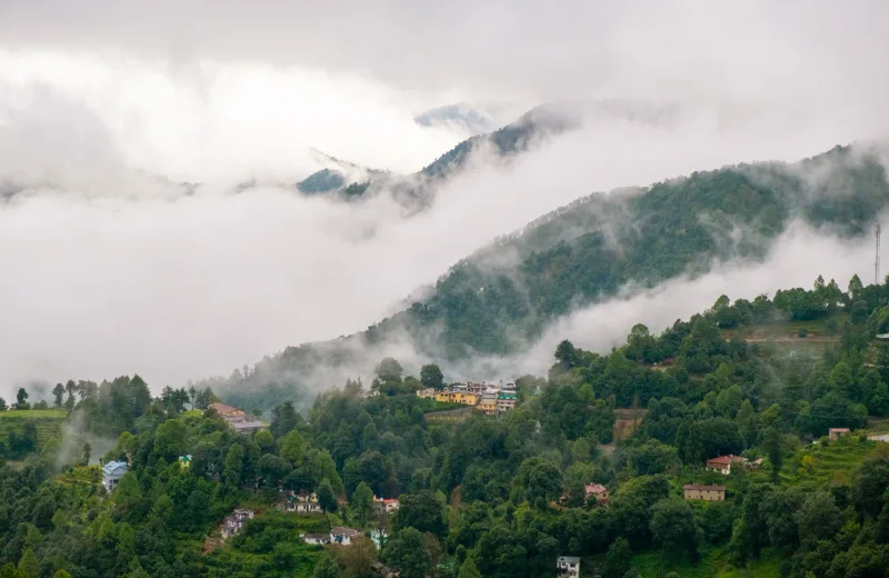 HUSHSTAY X THE WHITE PEAKS — photo 25 of 47