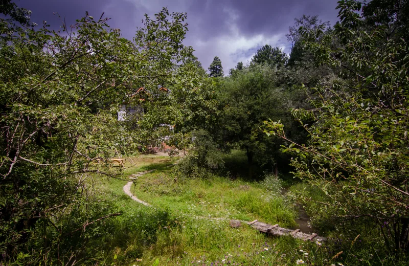 HUSHSTAY X THE CHEESE COTTAGE — photo 35 of 41
