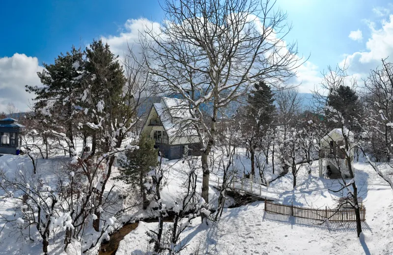 HUSHSTAY X OLIVE CHALET — photo 19 of 29