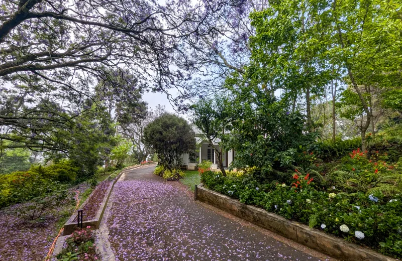 HUSHSTAY X MILFORD ESTATE — photo 26 of 51
