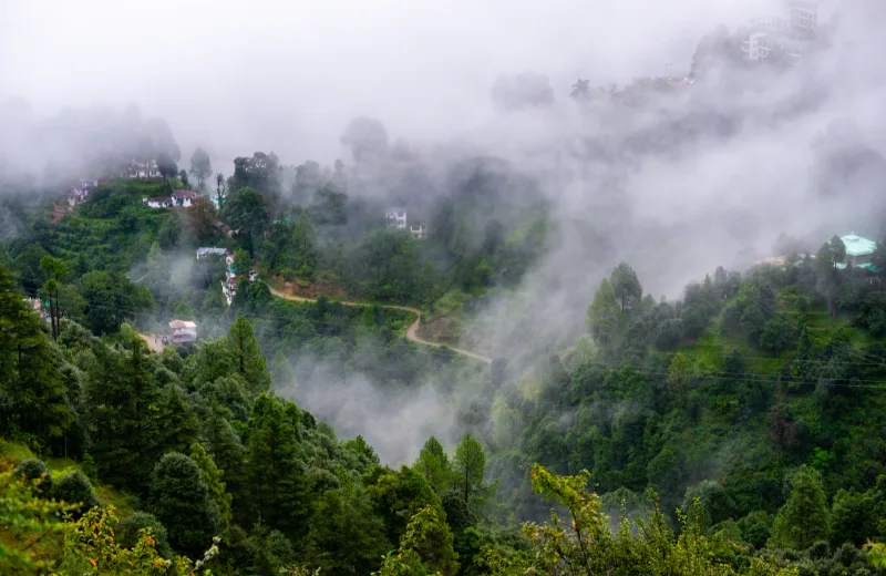 HUSHSTAY X THE WHITE PEAKS — photo 33 of 47
