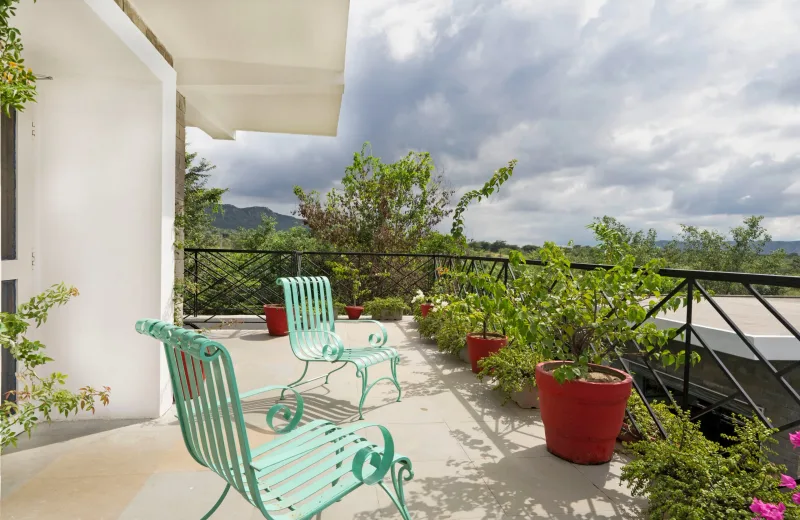 HUSHSTAY X JUNGLE HOUSE — photo 2 of 7