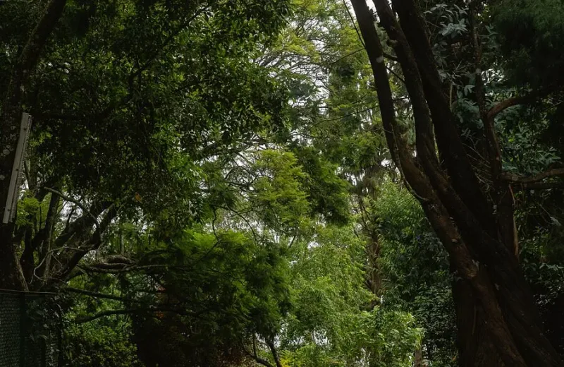 HUSHSTAY X MILFORD ESTATE — photo 15 of 51