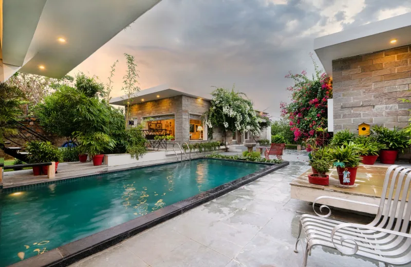HUSHSTAY X JUNGLE HOUSE — photo 19 of 26
