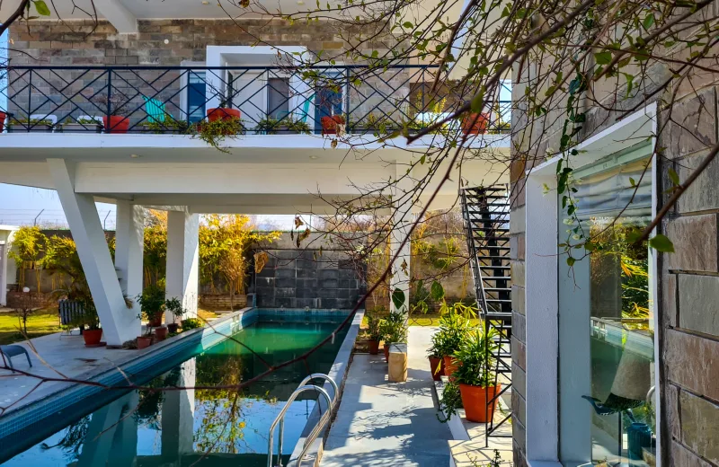 HUSHSTAY X JUNGLE HOUSE — photo 2 of 26