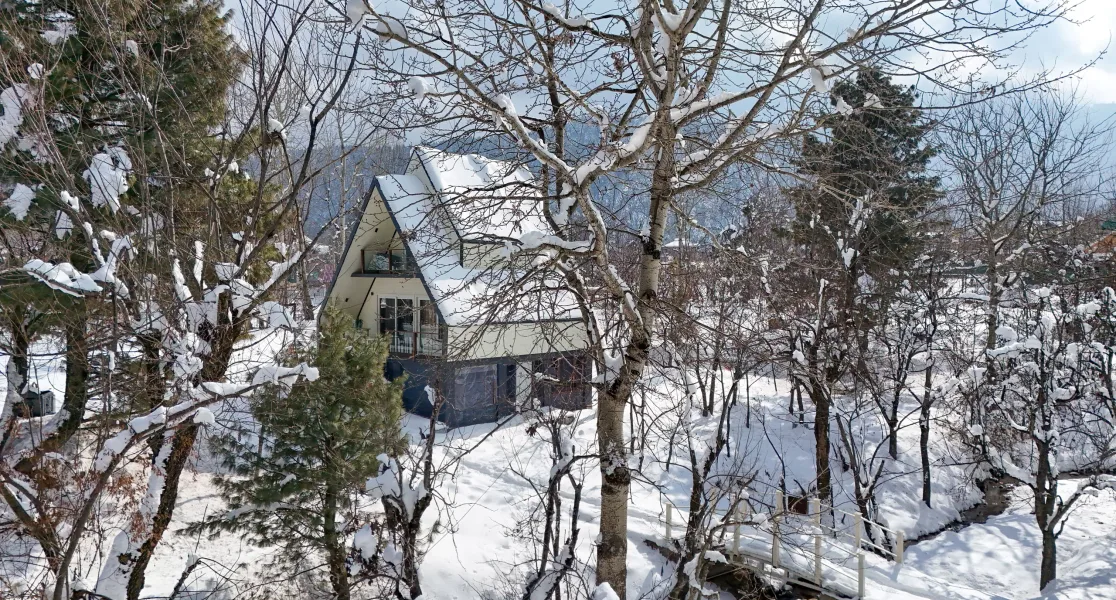 HUSHSTAY X OLIVE CHALET — photo 2 of 29