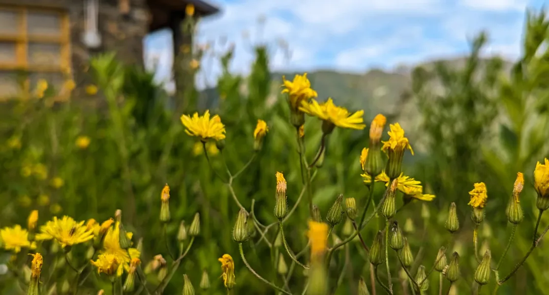 HUSHSTAY X GARHWAL — photo 24 of 52