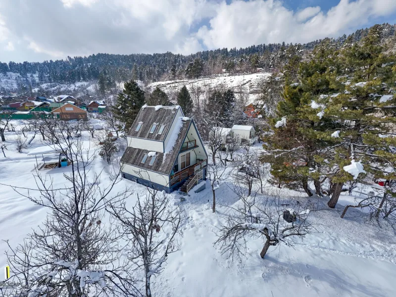 HUSHSTAY X OLIVE CHALET