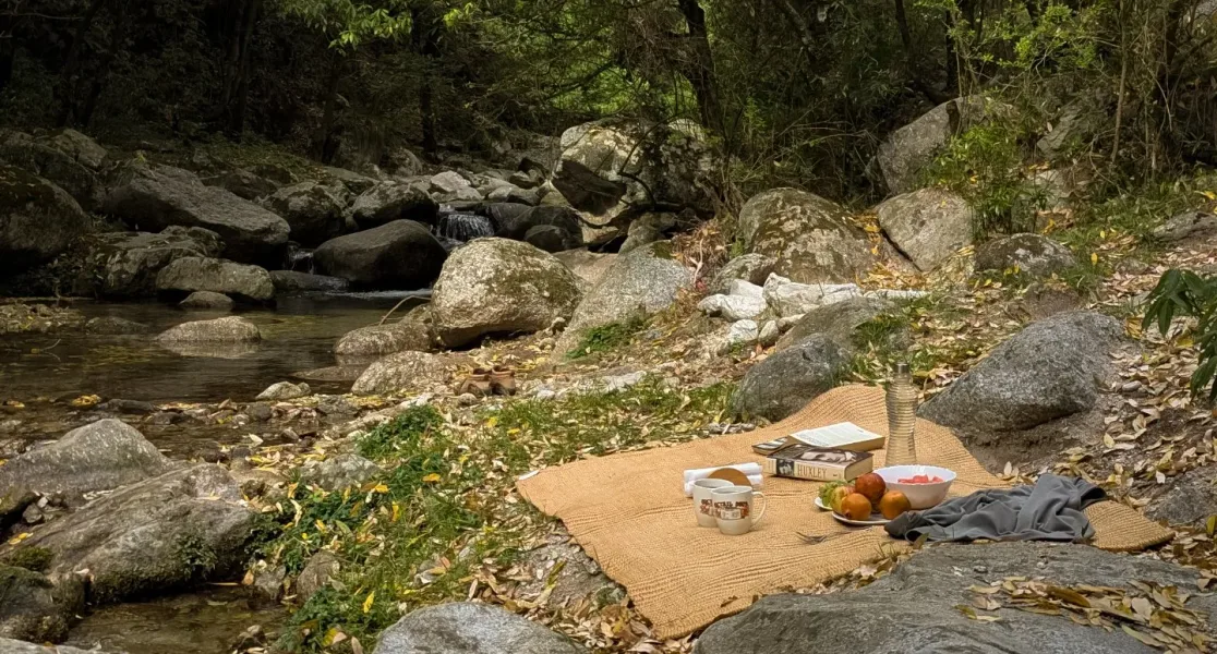 HUSHSTAY X BAREI JUNGLE LODGE — photo 22 of 28