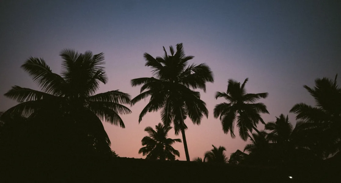 HUSHSTAY X VILLA MIRA — photo 46 of 58