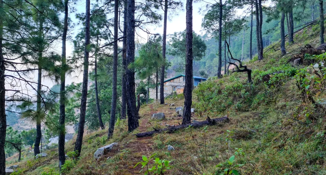 HUSHSTAY X HOUSE ON THE SLOPE — photo 37 of 54