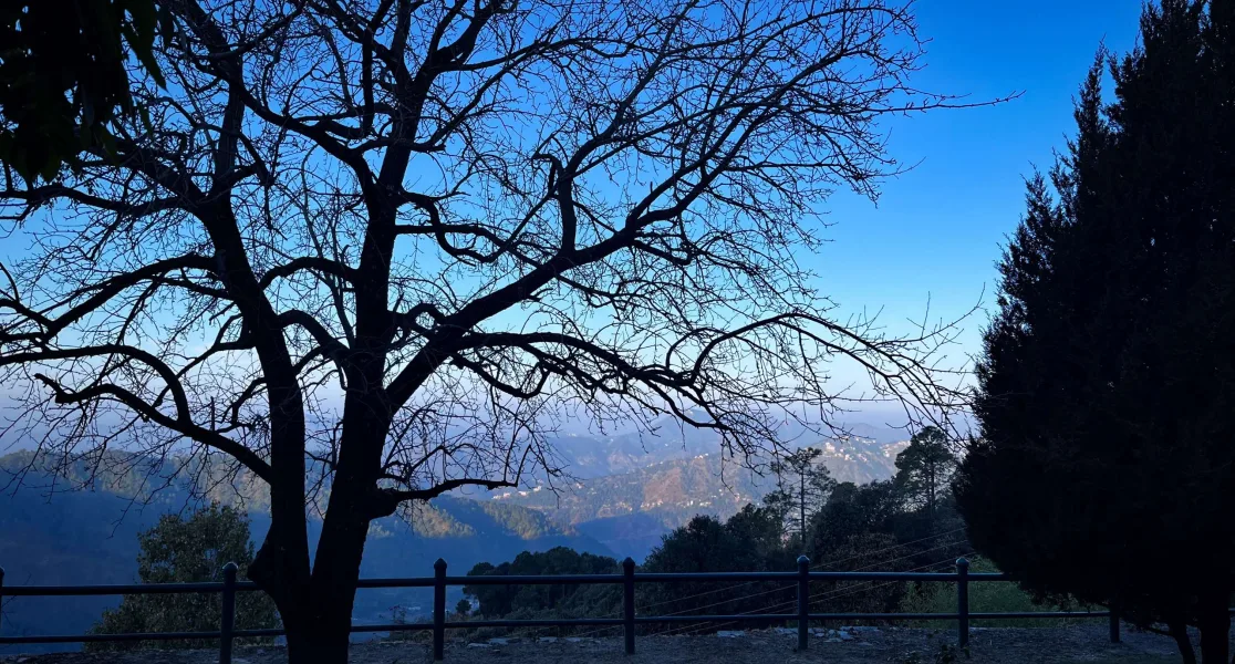 HUSHSTAY X JAGHERI BAGH — photo 16 of 63