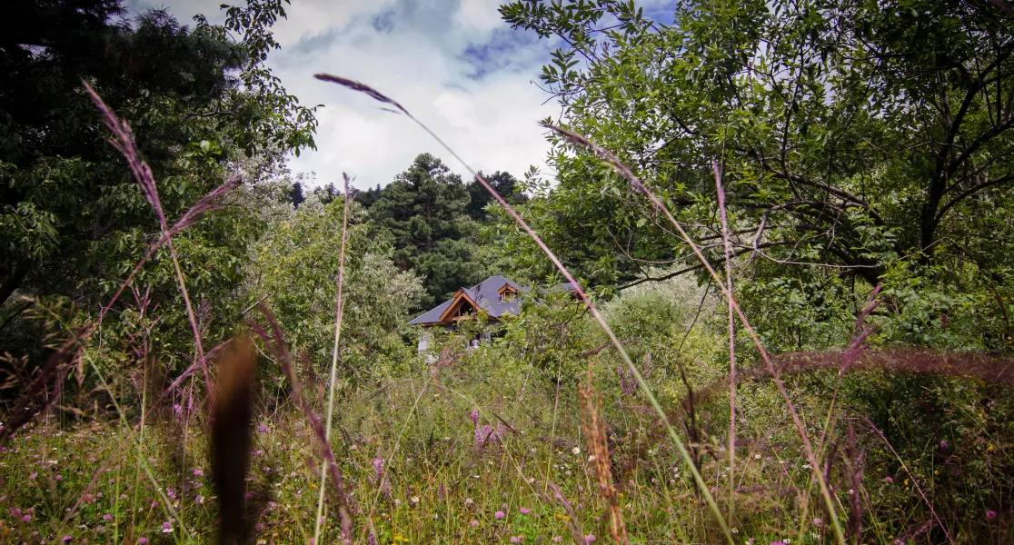 HUSHSTAY X THE CHEESE COTTAGE — photo 5 of 41