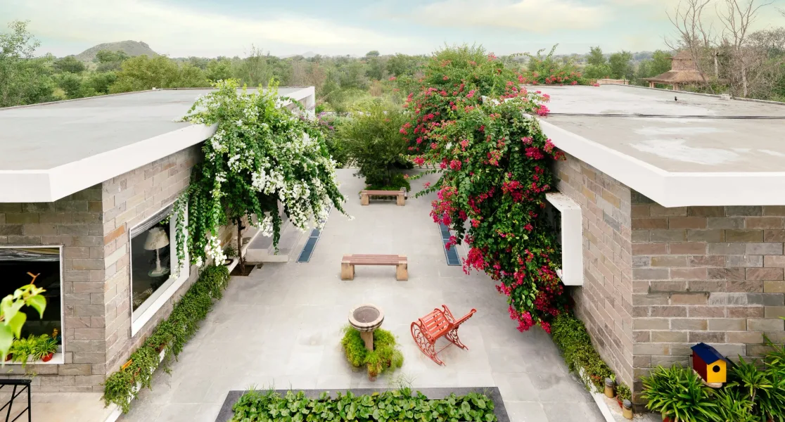 HUSHSTAY X JUNGLE HOUSE — photo 15 of 26