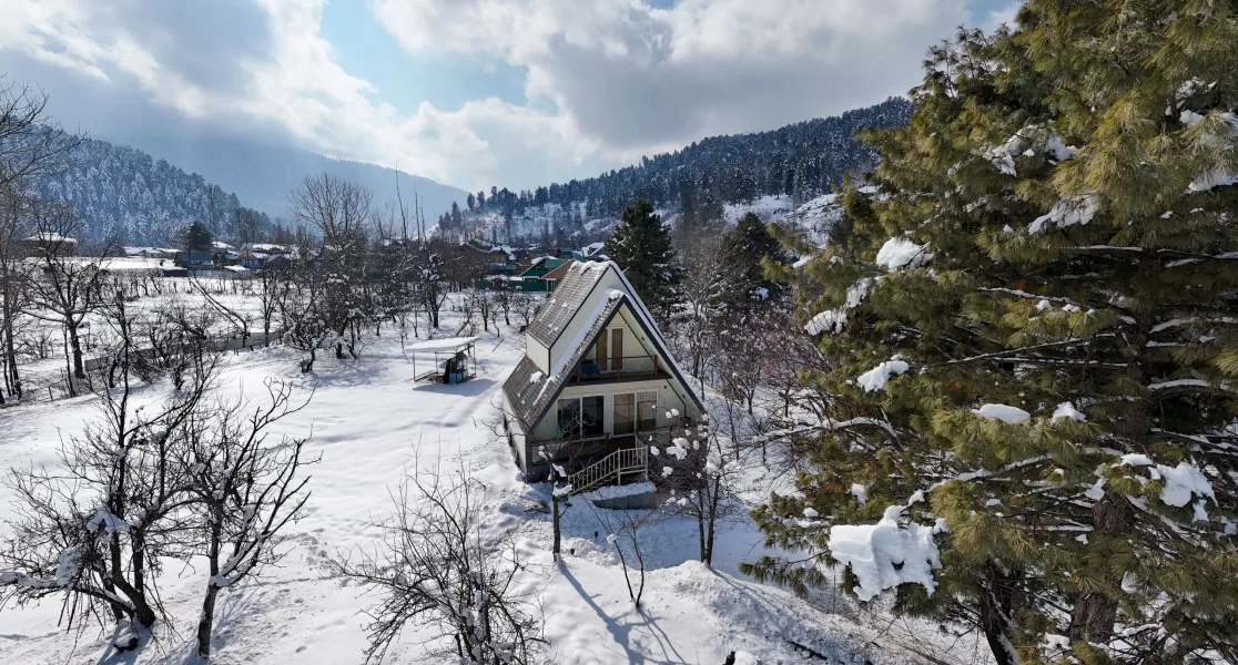 HUSHSTAY X OLIVE CHALET — photo 22 of 29