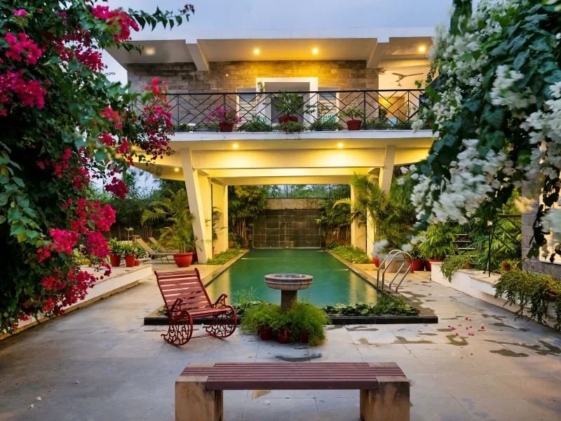 HUSHSTAY X JUNGLE HOUSE