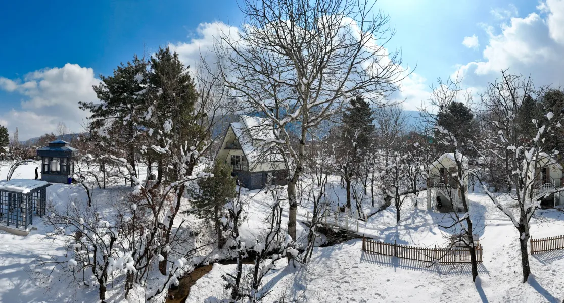 HUSHSTAY X OLIVE CHALET — photo 19 of 29