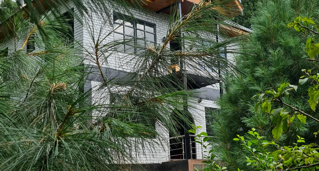 HUSHSTAY X THE CHEESE COTTAGE — photo 24 of 41