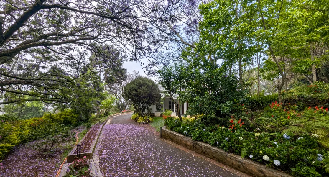 HUSHSTAY X MILFORD ESTATE — photo 26 of 51