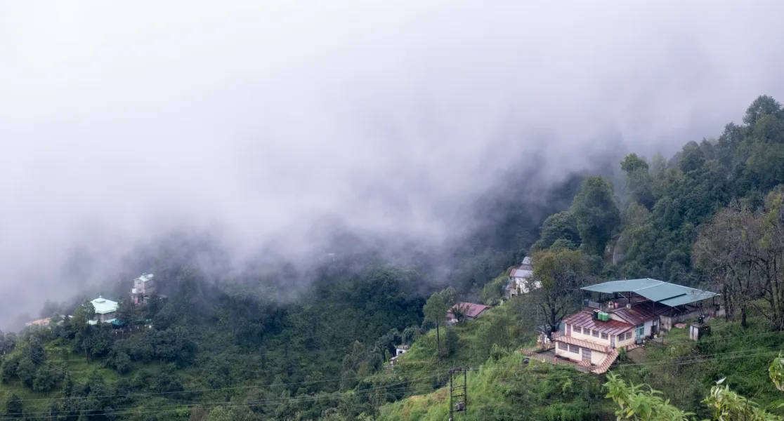 HUSHSTAY X THE WHITE PEAKS — photo 30 of 47