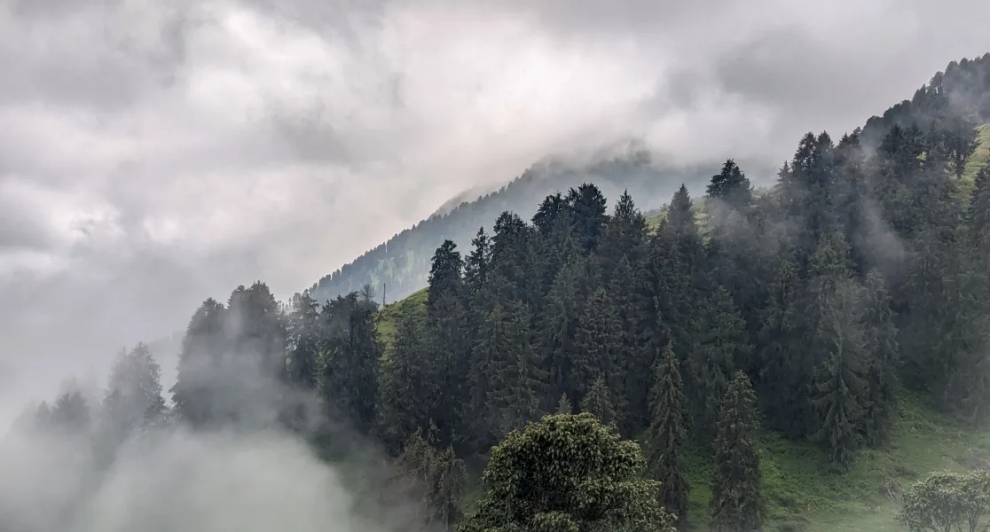 HUSHSTAY X KARDHAR PROJECT — photo 15 of 56