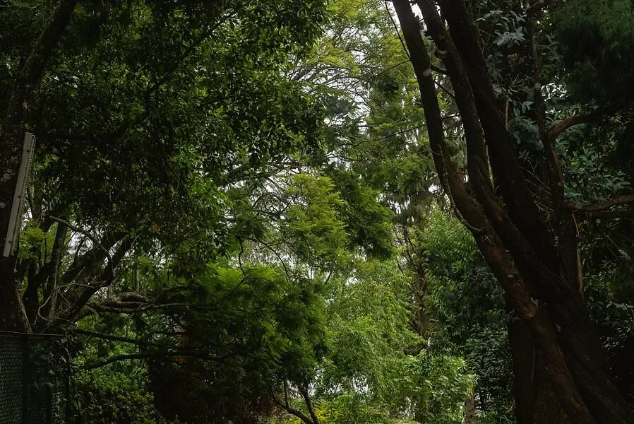HUSHSTAY X MILFORD ESTATE — photo 15 of 51