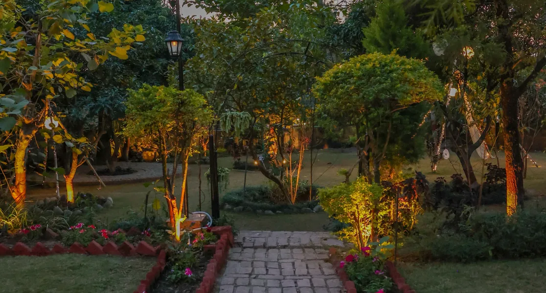 HUSHSTAY X BAREFOOT HOUSE — photo 8 of 49
