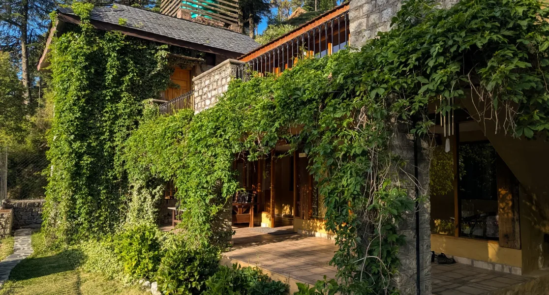 HUSHSTAY X BAREI JUNGLE LODGE — photo 25 of 28