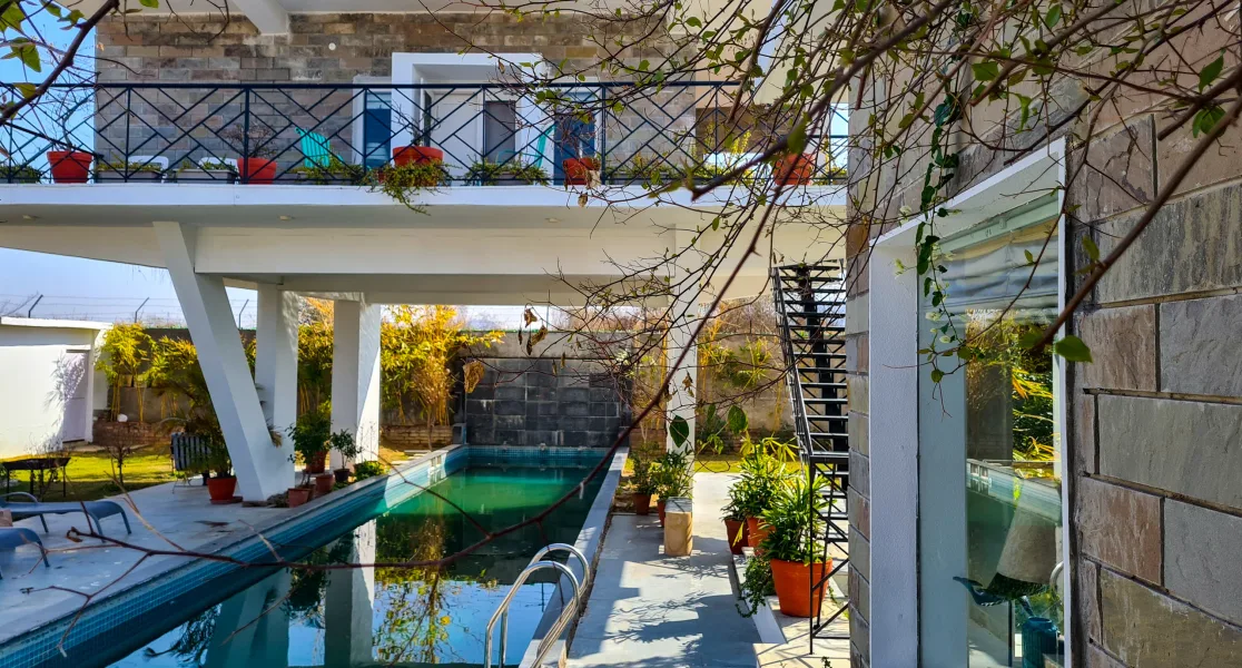 HUSHSTAY X JUNGLE HOUSE — photo 2 of 26