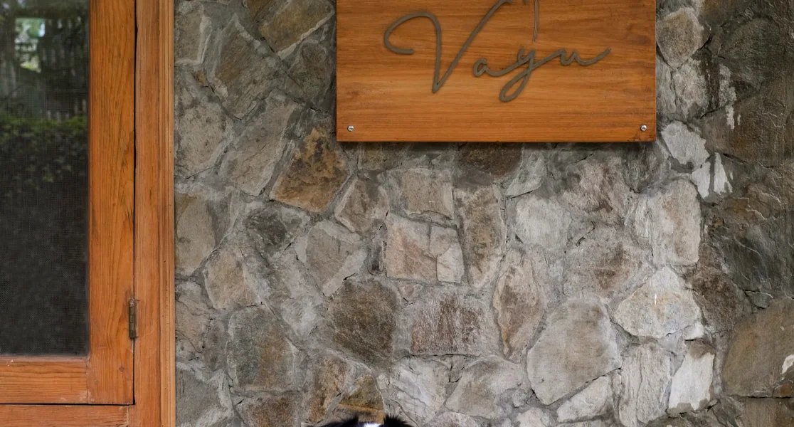 HUSHSTAY X VAYU — photo 2 of 59