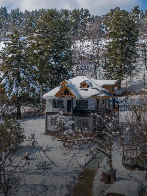 SECRET HOMES TO EXPERIENCE SNOW