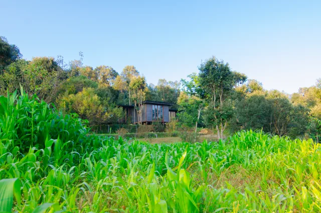 AROUND HUSHSTAY X MERAKI near HUSHSTAY X MERAKI