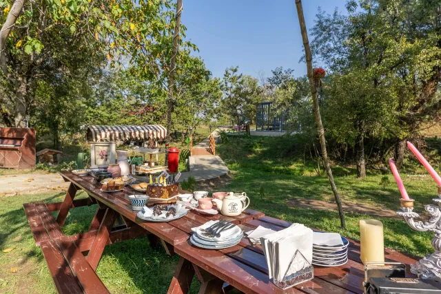 AROUND THE OLIVE CHALET near HUSHSTAY X OLIVE CHALET