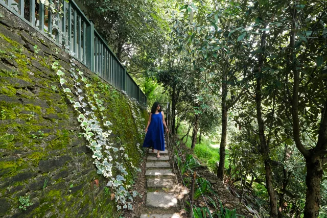 AROUND HUSHSTAY X VAYU near HUSHSTAY X VAYU