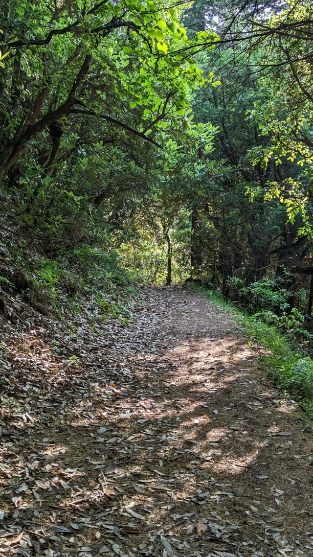 AROUND HUSHSTAY X GARHWAL near HUSHSTAY X GARHWAL